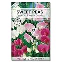 Navika Seeds ; Grow with Us Sweet Peas Flower Seed.Perfect for Home &amp; Terrace Gardening Winter &amp; Summer Blooms in India-Includes Free E-Book for Kitchen,Backyard,Gardening &amp; Planting.High Germination