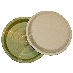 SWHF 100 Bio-Degradable Disposable Eco-Friendly