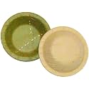 SWHF 100 Bio-Degradable Disposable Eco-Friendly
