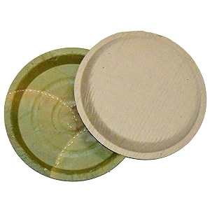 SWHF 100 Bio-degradable Disposable SAL Leaf Plates-