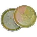 SWHF Bio Degradable Disposable Plates Eco