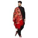 SWI WITH LABEL Men's Kashmiri Aari Embroidered Wool Stole
