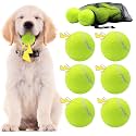 Swingers Squeaky Tennis Balls for Dog, 2.5 Inch Training Tennis Balls