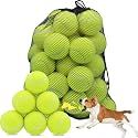 Swingers Squeaky Tennis Balls for Dog, 2.5 Inch Training Tennis Balls