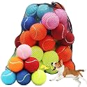 Swingers Squeaky Tennis Balls for Dog, 2.5 Inch Training Tennis Balls