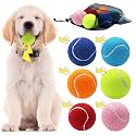 Swingers Squeaky Tennis Balls for Dog, 2.5 Inch Training Tennis Balls