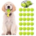 Swingers Squeaky Tennis Balls for Dog, 2.5 Inch Training Tennis Balls