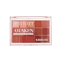 Swiss Beauty Awaken Eyeshadow Palette | Matte + Shimmer Finish | Long-Lasting | Blendable | Shade- 1. Blooming Rose, 11g