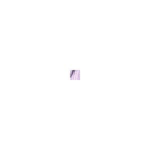 SXV Lavender Ribbed Polo Collar Crop t-Shirt