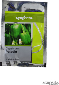 syngenta capsicum paladin 10gm seed 10 per packet