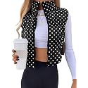 Women's Crop Puffer Vest Zip Up Sleeveless Outerwear Padded Coat