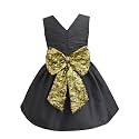A.T.U.N. (ALL THINGS UBER NICE) Girl's Skater Knee Length Sleeveless Sonya Stylish Party Dress