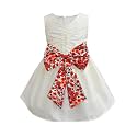 A.T.U.N. (ALL THINGS UBER NICE) Girl's Skater Knee Length Sleeveless Sonya Stylish Party Dress