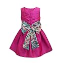 A.T.U.N. (ALL THINGS UBER NICE) Girl's Skater Knee Length Sleeveless Sonya Stylish Party Dress