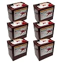 T105-AES 6V AGM Deep Cycle Batteries – 207Ah, Maintenance-Free, VRLA, Horizontal & Vertical Install, Maroon (Pack of 6)