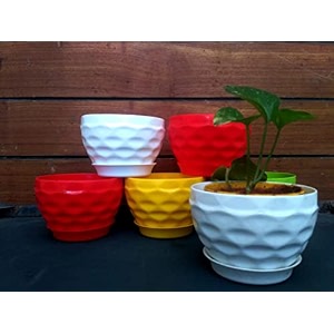 table decor  indoor planter  table top planter standard prince pot