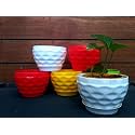 Table Decor | Indoor Planter | Table Top Planter (Standard, Prince Pot)