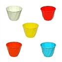 Table Decor | Indoor Planter | Table Top Planter (Standard, Elite Pot)