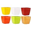 Table Decor | Indoor Planter | Table Top Planter (Standard, Bloss Sq Pot)