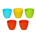 Table Decor | Indoor Planter | Table Top Planter (Standard, Sky Pot)