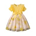 TAGAS Girl39s Princess Dress Kids Birthday Dress
