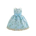 Tagas Girls39 Princess Dress Girl Dress