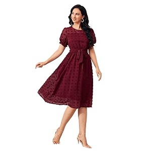 TAGAS Womens Georgette Fit and Flare Knee-Length