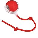 Tails Cat Toys,Agile Moving Ball with Elastic Mesh Tail,Interactive Cat Toy for Indoor Cats,Motion Activated,Ultra-Fast Kitten Toys