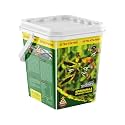 Taiyo Pluss Discovery Premium Spirulina &amp; Spinach Flakes Fish Food, 1.1 Kg (1 Kg + Extra 10% Free Inside),All Life Stages, 1 Count