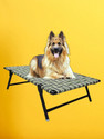 TakshaDecors Large Pet Bed L Pet Bed