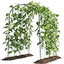Tall Garden Arch Trellis for Climbing Plants, 83" H Metal Trellis Archway
