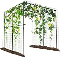 Tall Garden Arch Trellis for Climbing Plants, 79" H Metal Trellis Archway