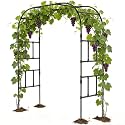 Tall Garden Arch Trellis for Climbing Plants, 87" H Metal Trellis Archway
