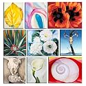 Tallenge Georgia O39Keeffe Paintings Small Poster Paper