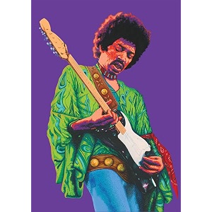tallenge -jimi-hendrix-purple-haze pop art poster - medium posterpaper17 x 24 inches multicolour