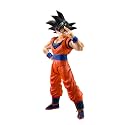 TAMASHII Nations - Dragon Ball Z -