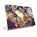 Tamatina Laptop Skins 44.45cm (17.5 inch) - Nature - Sunrise - Flowers - HD Quality