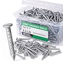 Tandefio 2.2 lb 1" x 10G Joist Hanger Nails Hot Dip Galvanized Steel