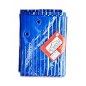 Ecoraksha Lining Premium Multilayer Eco-Friendly Tarpaulin Sheet Waterproof Tirpal Heavy Duty 6 X 6 Ft Poly Tadpatri - Multipurpose 100 Microns Plastic Cover Tharpai, Thadika, Tarp (Blue)