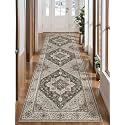Tangsoo 2.6x10 Hallway Runner Rugs Washable Non