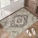 Tangsoo 2x3 Washable Rugs for Entryway Vintage