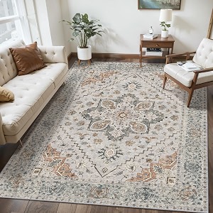 Tangsoo 3x5 Washable Area Rugs Farmhouse Non