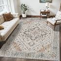 Tangsoo 3x5 Washable Area Rugs Farmhouse Non