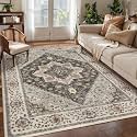 Tangsoo 4x6 Washable Area Rug for Living