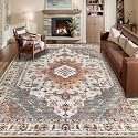 Tangsoo 5x7 Washable Area Rugs for Living