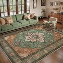 Tangsoo 5x7 Washable Area Rugs for Living