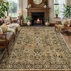 Tangsoo 6x9 Washable Area Rugs for Living