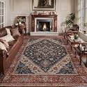 Tangsoo 6x9 Washable Area Rugs for Living
