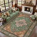 Tangsoo 6x9 Washable Area Rugs for Living