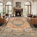 Tangsoo 6x9 Washable Area Rugs for Living